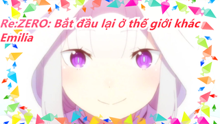 [Re:ZERO: Bắt đầu lại ở thế giới khác] Nhân vật yêu thích: Emilia