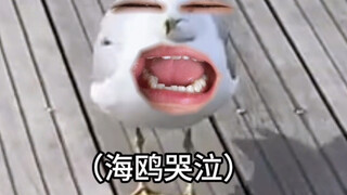 《你真的很装》