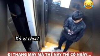 Troll kiểu này có ngày tụt quần 😆