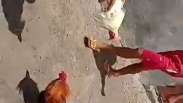 Talpakan na