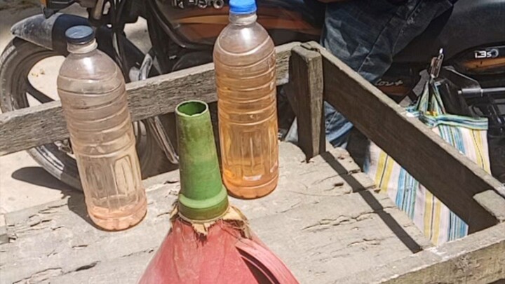 পেট্রোল