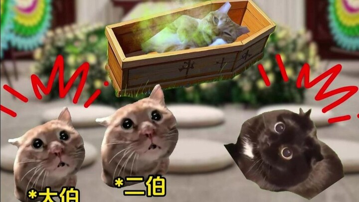 เคยเห็นคนซิที่อ้าปากไม่ได้ไหม?