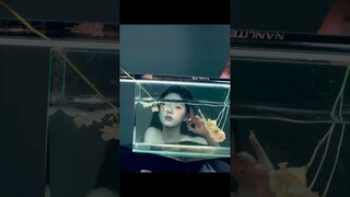 #zhaolusi Studio Update 240510 | BTS Versace Offline Event Photoshoot