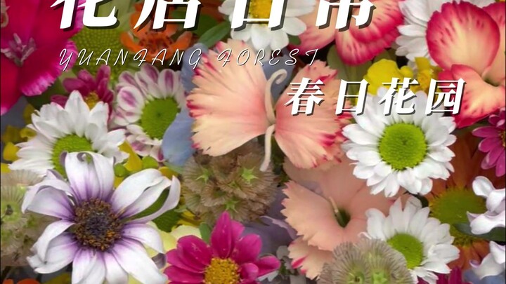 治愈者花店 春日花园