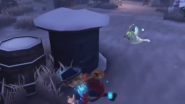 Ôi không, gỗ trôi dạt của tôi!