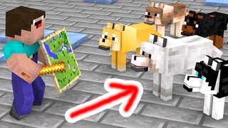 Monster School : A Dog's Adventure - Minecraft Animation