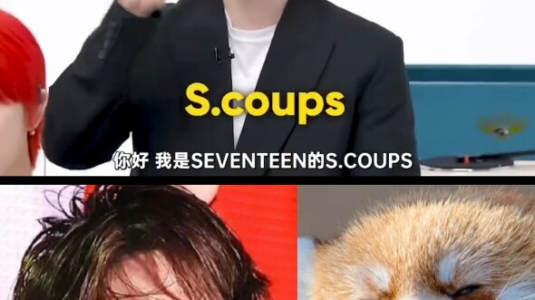 Cả nhóm Seventeen hóa thân thành các loài động vật