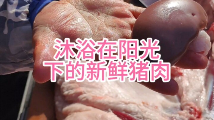 Fresh pork bathed in sunlight