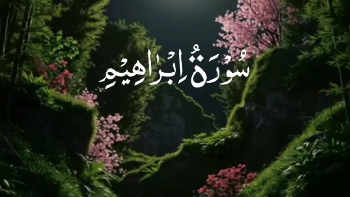 tilawatQuran majeed/Quran verses/Quran say