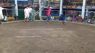 Dom over Black Gray (WIN)