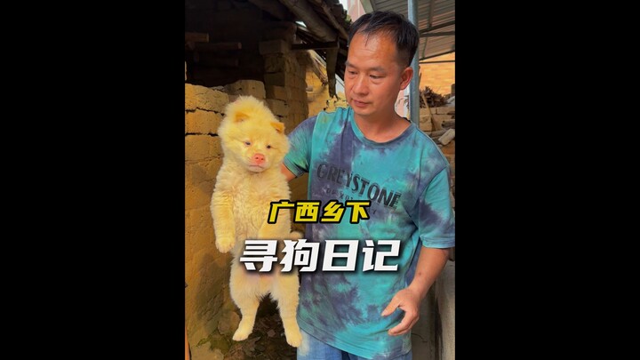 ตามหาหมาในชนบทกว่างซี เด็กชายช่วยฉันอย่างเต็มที่!