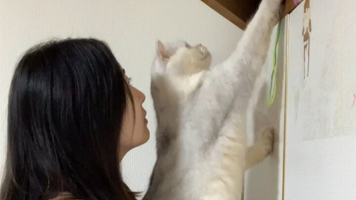 Jangan salahkan aku juga… Toh kamu kan satu-satunya pria di keluarga ini...