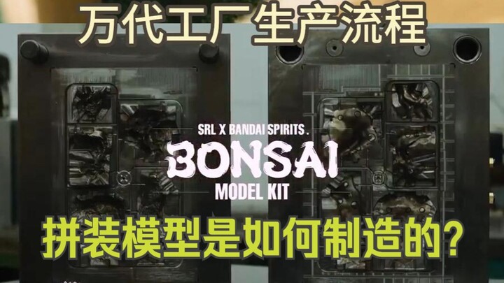 制造过程引起极度舒适的一集！万代盆栽拼装模型 工厂生产流程