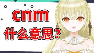 Apa arti dari bahasa Mandarin aneh yang diajarkan V Jepang kepada penonton Tiongkok?