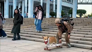 ที่ว่ามั่นเหมือนหมาแก่ ความหมายจริงๆ คือแบบนี้เอง ฮ่าฮ่า