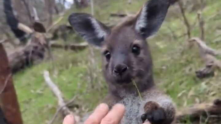 Want to come hit the boxing bag?