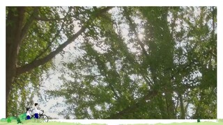 A Love so Beautiful ep17