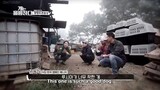 Dogs are Incredible Ep 3.2