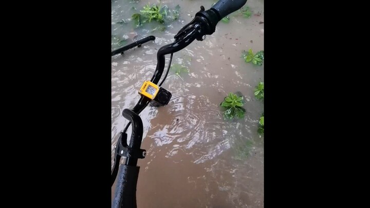 [Major Mishap with the Bike] Bike Crashes in the Heavy Rain
