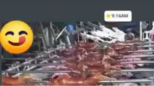 328749726_893988965078761_4399390768358320902_n