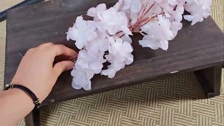 [ชีวิตประจำวันในสตูดิโอถ่ายภาพ] เมื่อคืนนี้ในห้องมืด พรุ่งนี้ ต้นซากุระแบบญี่ปุ่น