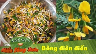 MAI VÀNG MÙA LŨ phương Nam - Bạn có biết là bông gì hông? | Đặc sản miền sông nước