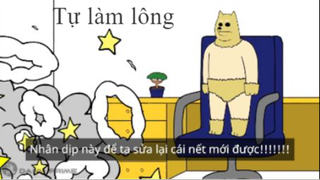 Tự làm lông