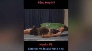 xuonghuongtiktok onhavanvui Hài thucung Tò mò là không tốt nha 😂😂