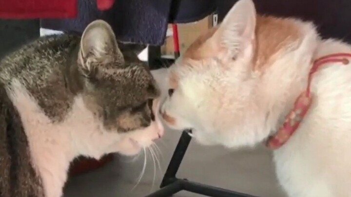 The Current State of Today's Scumbags