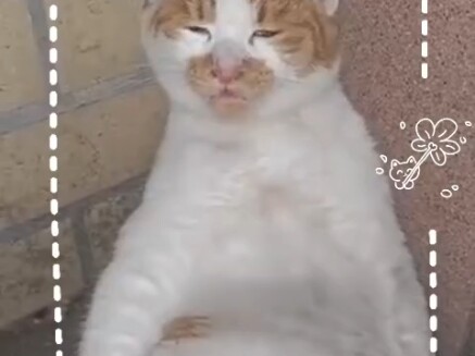 حرق الأرز...