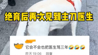 This dog is cool; he really doesn't hold grudges when something happens!