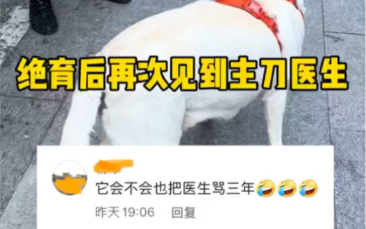 这狗能处，有事他真不记仇！