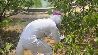 Một ngày trong cuộc đời của Vua Frieza trên Trái đất