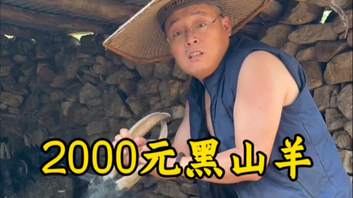 2000 Yuan Black Goat