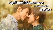 ตอน 1 (พากย์ไทย)