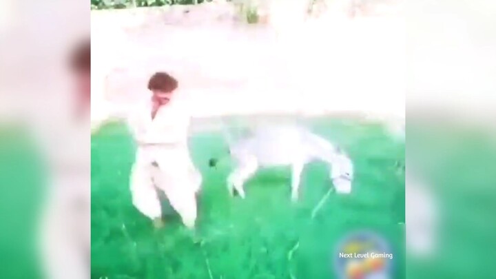 Free Fire Wtf Funny Moments