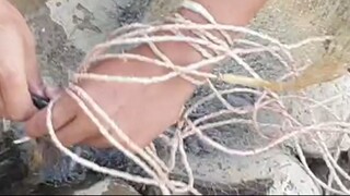 cast net fishing in Nepal | asala fishing | himalayan trout fishing |