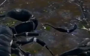 เล่นกับ "ความรู้สึกเรา" มันสนุกมากไหม!PUBG