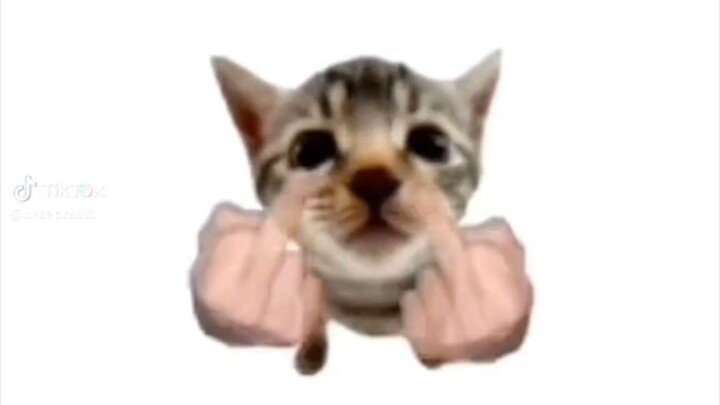 :))