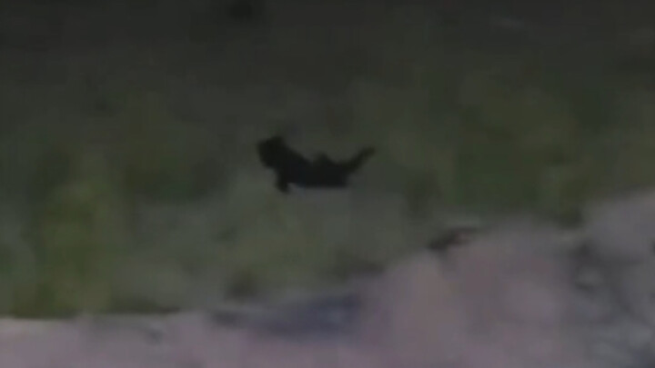 Vợ chồng ly hôn