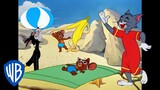 Tom & Jerry em Português 🇧🇷 | Brasil | É verão! ☀️ | @WBKidsBrasil​