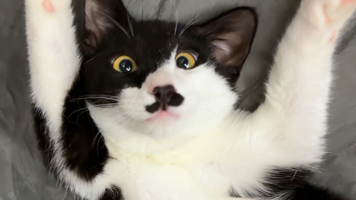 من هذا الذي يُرضِع ببراعة مذهلة؟