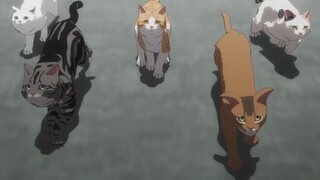 Nyaight of the Living Cat| 7 Juli 2025