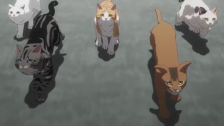 Nyaight of the Living Cat| 7 Juli 2025