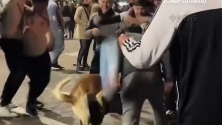 [Humanity Defies the Odds: Hilarious Video Compilation #190] – International Edition
