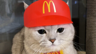 Welcome to McDonald's. Meow Meow is at your service.