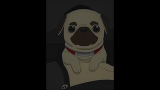 loid & bond forger edit spy x family season 2 episode 12 | disaster #anime #spyxfamily #loidforger