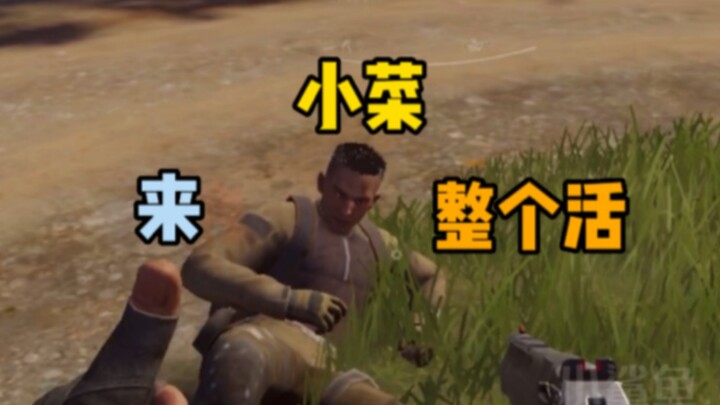 Ayo, Xiao Cai, kerjakan saja