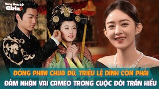 Đóng phim chưa đủ, Triệu Lệ Dĩnh còn phải đảm nhận vai cameo trong cuộc đời Trần Hiểu