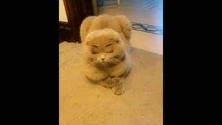 ตลกหรอนุด